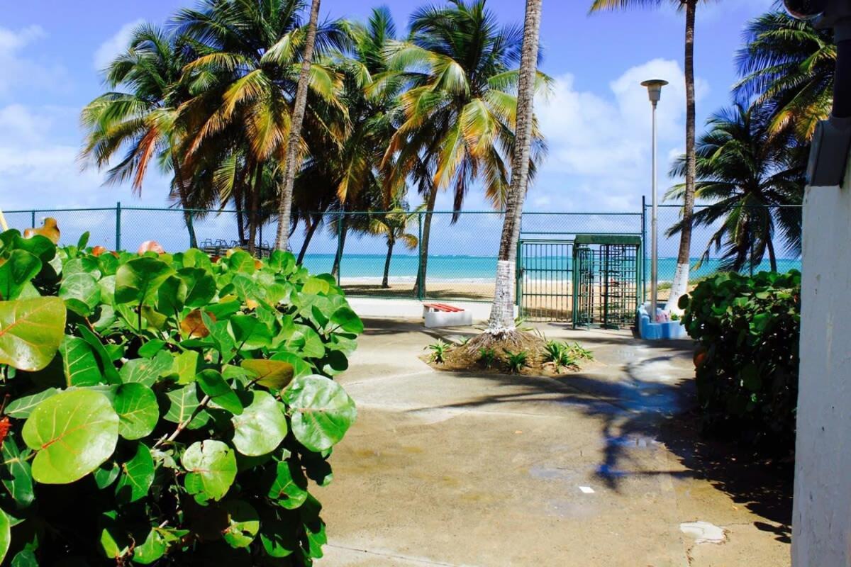 2Br Gem Ocean Front Building Isla Verde Beach Сан-Хуан Екстер'єр фото